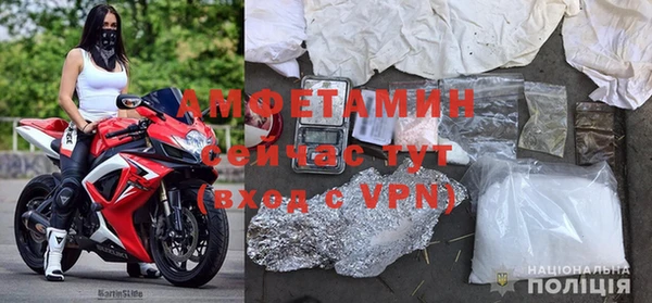 ГАЛЛЮЦИНОГЕННЫЕ ГРИБЫ Бронницы