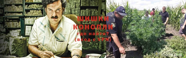 эйфоретик Бугульма